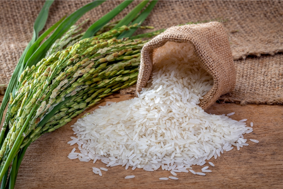 Vietnam Fragrant Rice 5% Broken DT8